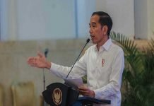 Presiden Jokowi Telepon Dirjen WHO Terkait Masalah COVID-19