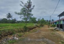 Alih Fungsi Lahan Di Bengkulu Utara Terkesan Dibiarkan, Tanggung Jawab Siapa?