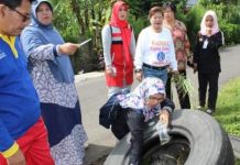 Bengkulu; Kasus DBD di Rejang Lebong Meningkat