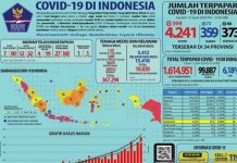 Data Positif COVID-19 Di Indonesia Meningkat Jadi 4.241 Kasus