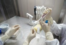 Seorang Ibu Usai Melahirkan di Bengkulu Reaktif