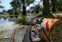 Yayasan Kanopi laporkan PT. TLB ke Polda Bengkulu Terkait tumpahan oli bekas