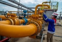 Apindo: Pemerintah Harus Kaji Ulang Harga Energi