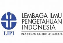 LIPI; Pemerintah Izinkanya Anak Muda Kembali Bekerja Potensi Tingkatkan Penularan COVID