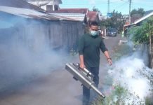 Lonjakan DBD di Rejang Lebong Capai 96 Kasus