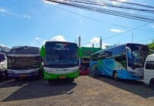 Bus Putra Rafflesia Naikan 50 Persen Harga Tiket