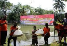 Polres Bengkulu Utara Tanam Benih Ikan, Bantu Jaga Ketahanan Pangan
