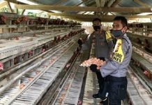 Polres Bengkulu Utara Bantu Anggotanya Jaga Ketahanan Pangan Hadapi Pandemi Covid-19