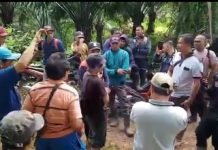 Perjuangkan Hak Tanah Warga Mukomuko Surati Gubernur