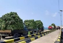 Warga di Pulau Enggano Mulai Kesulitan Pangan Akibat Cuaca ekstrem,