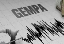 Bengkulu Utara Digoncang Gempa Dengan Magnitudo 4,8
