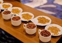 Kemenparekraf Dorong Identifikasi HKI Untuk Kopi Bengkulu