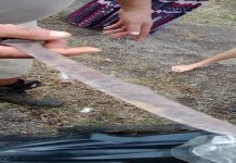 Ulah Oknum Kepala Sekolah, Dunia Pendidikan Di Bengkulu Utara Kembali Tercoreng