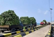 Tahun Depan Dermaga Kahyapu Pulau Enggano Akan Dibangun
