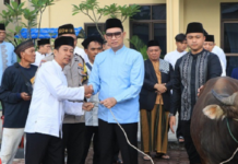Rayakan Idul Adha, Polda Bengkulu Qurban 28 Ekor Sapi dan 7 Ekor kambing