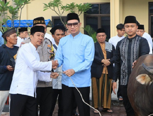 Rayakan Idul Adha, Polda Bengkulu Qurban 28 Ekor Sapi dan 7 Ekor kambing