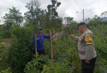 Kegiatan Sambang Ketahanan Pangan di Desa IV Suku Menanti, Kecamatan Sindang Dataran