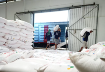 Awal Tahun 2025, Puluhan Ribu Petani Tebus Pupuk Bersubsidi