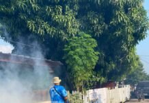 Bersama Lawan Nyamuk DBD! Camat AAL Bergerak Bersama Warga Talang Kelapa