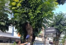 Pantau Langsung Titik Strategis, Lurah Lawangkidul H. Wiyanta Perkuat Semangat Adipura di Palembang