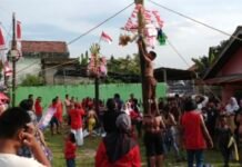 Lomba Panjat Pinang Warnai Semangat Merdeka di RT 12 RW 03 Satu Ilir