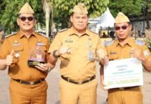 Amiruddin Sandy Tekankan Inovasi dan Kolaborasi Jadi Kunci Keberhasilan Posyandu Terintegrasi