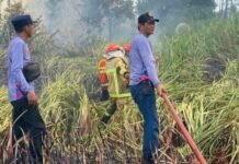 Damkar Palembang Gagalkan Meluasnya Kebakaran lahan di Kertapati