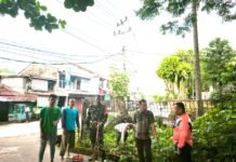 Warga 23 Ilir Tanam Tanaman Hias, Jhon Erlan Zami: Lingkungan Jadi Indah dan Nyaman