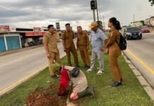 Gerakan Menanam Buah Jadi Langkah Strategis Wujudkan Kota Palembang Lebih Sehat