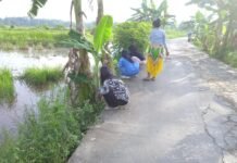 Dari TMMD untuk Karyajaya: Sinergi Warga dan Pemerintah Hadirkan Lingkungan Nyaman