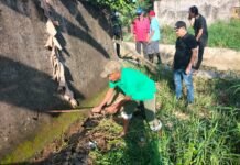 Sinergi Lurah dan Warga Sukajaya Ciptakan Lingkungan Hijau dan Produktif