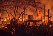 Turun Langsung ke Lapangan, Lurah Kalidoni Dampingi Warga Terdampak Kebakaran