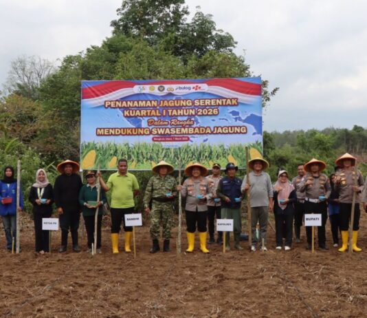 Dukung Ketahanan Pangan Nasional, Polres Bengkulu Utara Tanam Raya Jagung Serentak