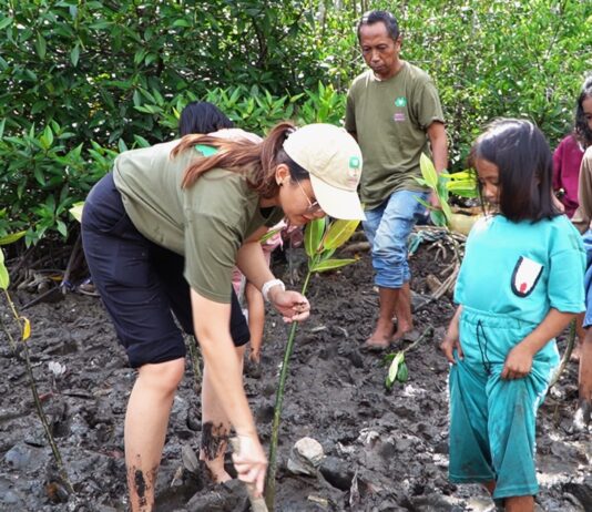 Aksi Hijau di Ujung Sumsel, 100 Mangrove Ditanam untuk Lawan Abrasi