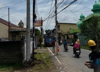 Sinergi Pemerintah dan PLN, Lurah Sentosa Herwansyah Tinjau Pemasangan Tiang Listrik Baru demi Kelancaran Arus Lalin