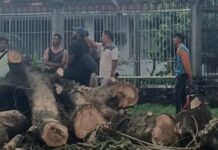 Bukan Sekadar Seremonial, Lurah Arsun Sahadi Turun ke Lapangan Pastikan Mitigasi Bencana Berjalan