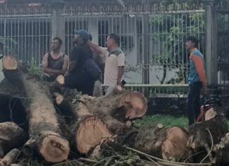 Bukan Sekadar Seremonial, Lurah Arsun Sahadi Turun ke Lapangan Pastikan Mitigasi Bencana Berjalan