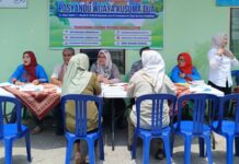 Lurah Lima Ilir Pastikan Implementasi 6 SPM di Posyandu Berjalan Optimal