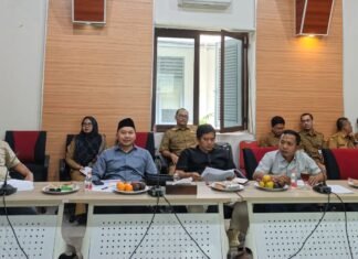 Anggota DPRD Lebak Rijal M.Ikom berikan catatan kritis dalam rapat banggar APBD 2025