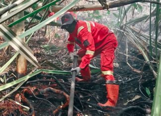 Sudah 11 Hari, Karhutla Gambut di Rengat Belum Sepenuhnya Padam