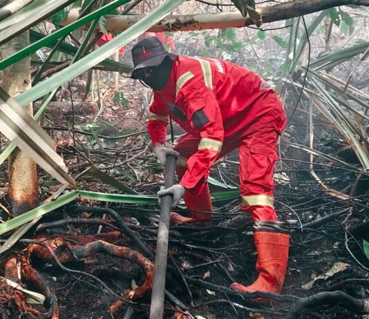 Sudah 11 Hari, Karhutla Gambut di Rengat Belum Sepenuhnya Padam