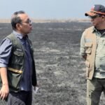 BNPB Kerahkan Tim dan Helikopter Tangani Dampak Gempa M7,7 di Nagekeo