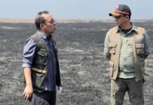 BNPB Kerahkan Tim dan Helikopter Tangani Dampak Gempa M7,7 di Nagekeo