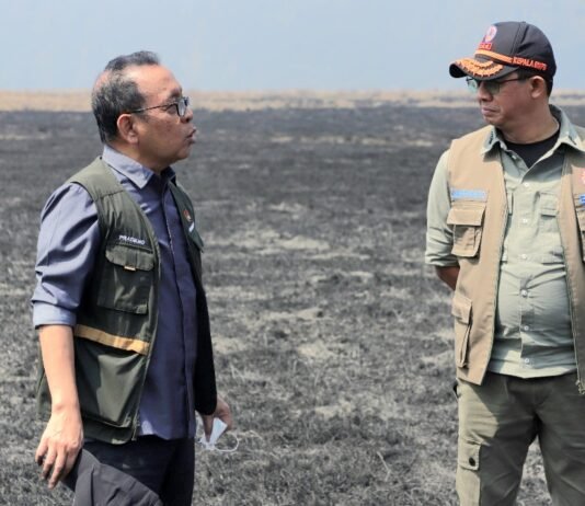 BNPB Kerahkan Tim dan Helikopter Tangani Dampak Gempa M7,7 di Nagekeo