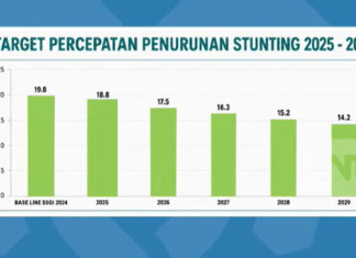 Di Depan DPR RI, Kemendukbangga Ungkap Tantangan Bonus Demografi dan Penurunan Stunting