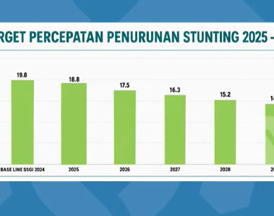 Di Depan DPR RI, Kemendukbangga Ungkap Tantangan Bonus Demografi dan Penurunan Stunting