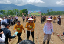 Bupati Azhari Dorong Pemanfaatan Lahan Tidur untuk Tingkatkan Produksi Kedelai