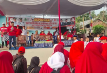 Meriahkan HUT ke-81 RI, Bupati Azhari Lepas Karnaval dan Pawai Pembangunan Lebong