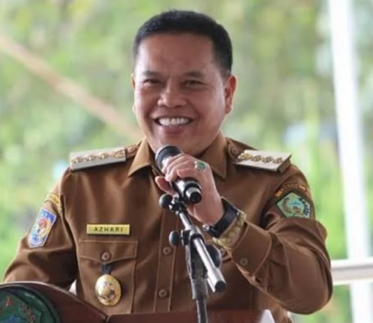 Lebong Terang dan Menyala Berlanjut, Pemkab Lebong Perluas Pemasangan LPJU