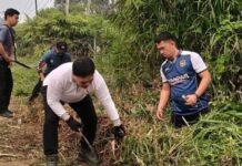 Tak Terhalang Batas Kewenangan, Bupati Lebong Bergerak Bersihkan Jalan